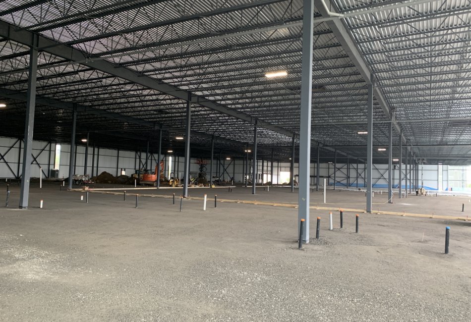 EEGT - Costco Opti-Lab