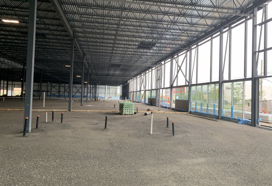 EEGT - Costco Opti-Lab