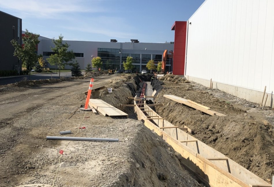 EEGT - Costco Opti-Lab