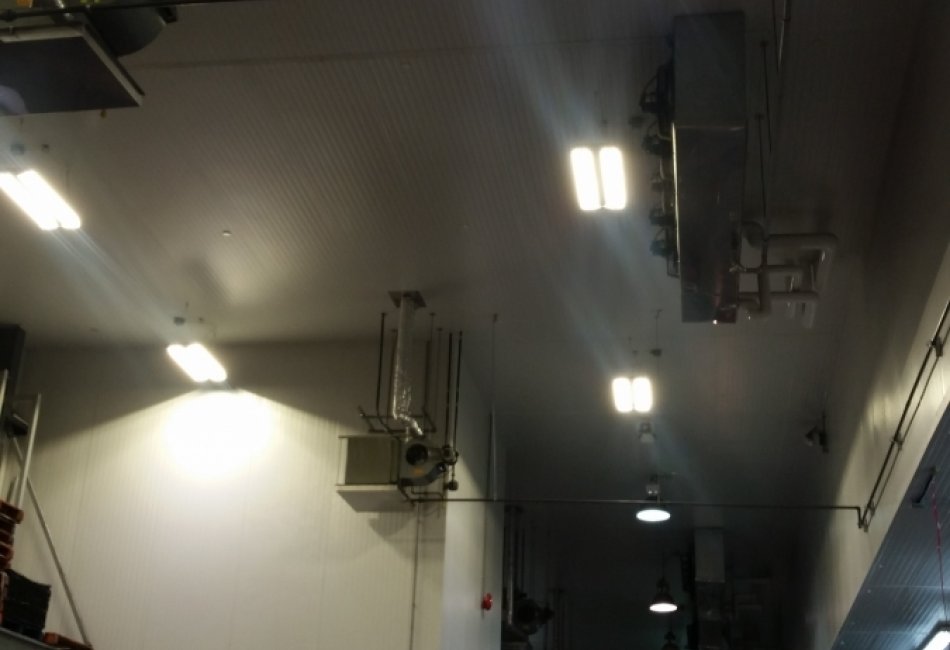 EEGT - Viau Food Products Inc.